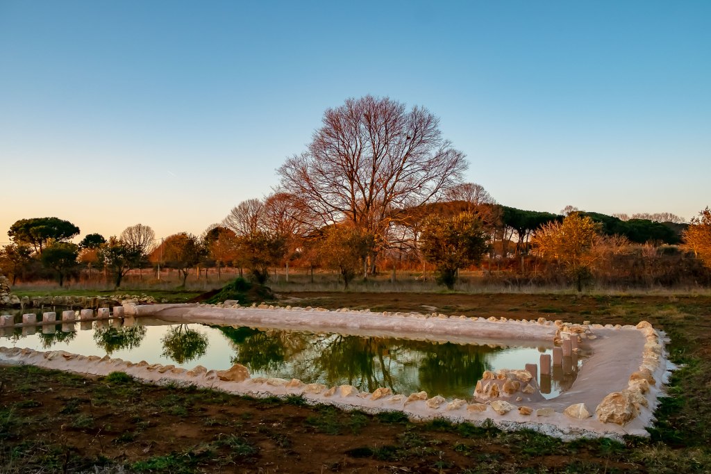 Il Giardino di Proserpina - Biolaghetto - Fito-depurazione - Agricoltura biologica - Manziana - Roma