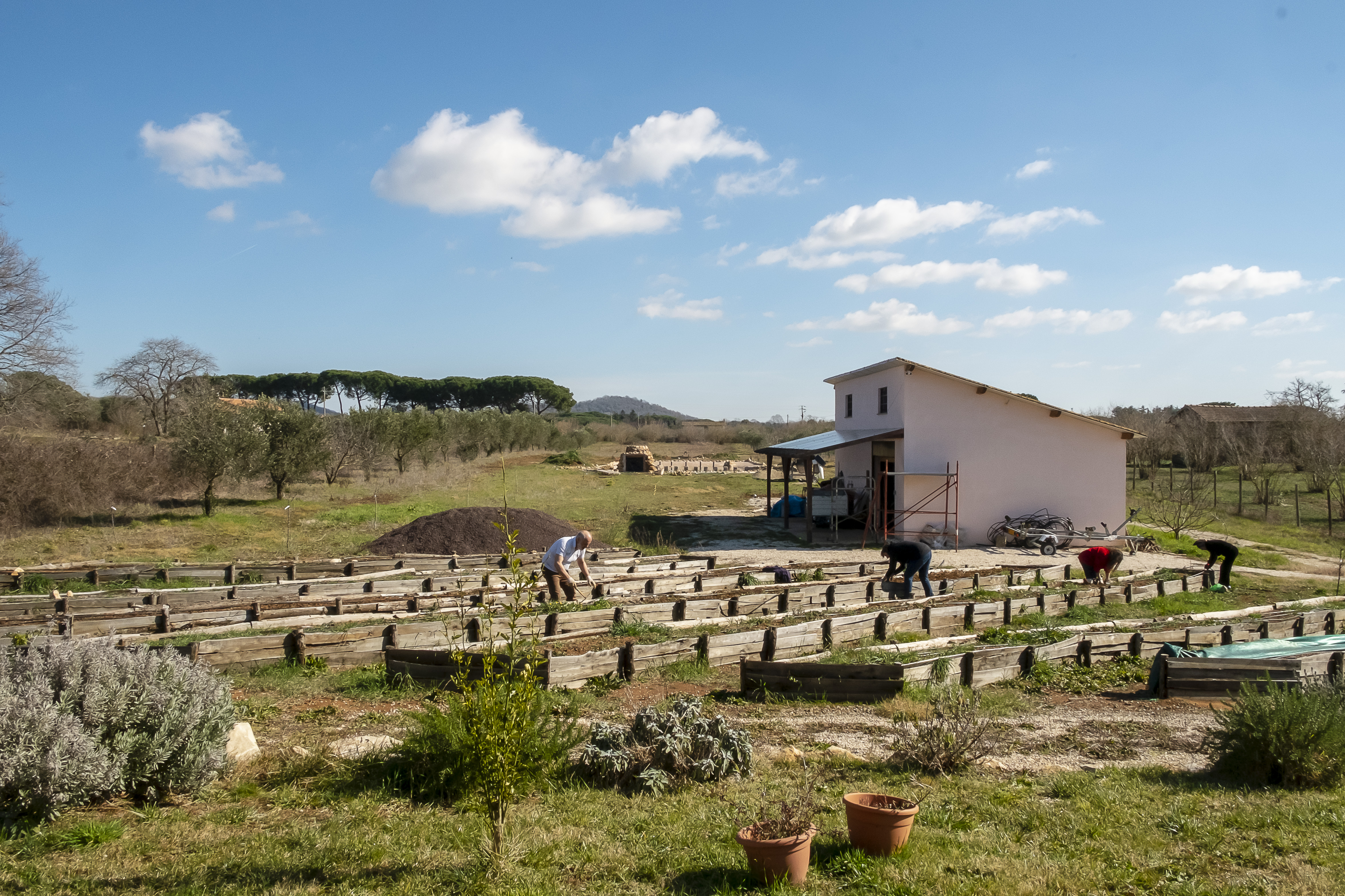 Il Giardino di Proserpina - Agricoltura Biologica - Orti-Bancali Sinergici - Preparazione - Manziana - Roma 